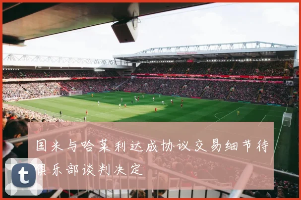 国米与哈莱利达成协议交易细节待俱乐部谈判决定