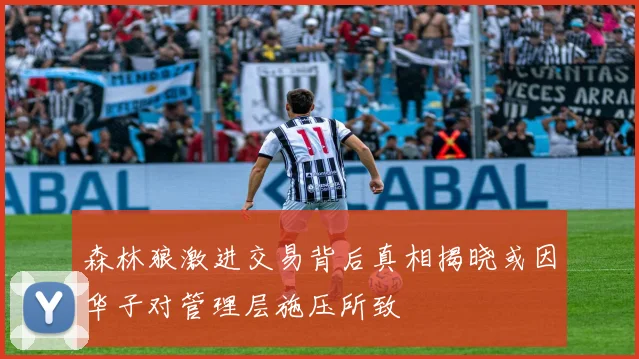 森林狼激进交易背后真相揭晓或因华子对管理层施压所致